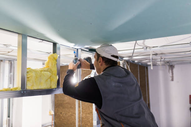 Best Residential Insulation Services  in Bushnell, IL