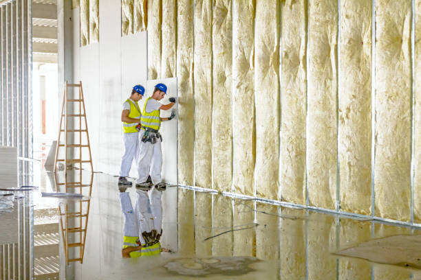 Insulation for New Construction in Bushnell, IL